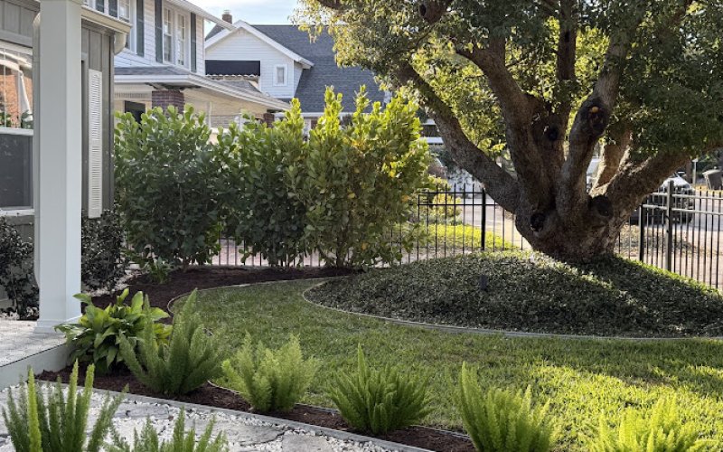 Golden landscape and tree care
