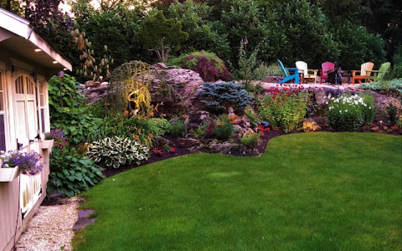 Lucky Lawn