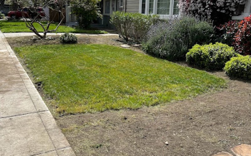 Legacy Lawn Care & Landscaping