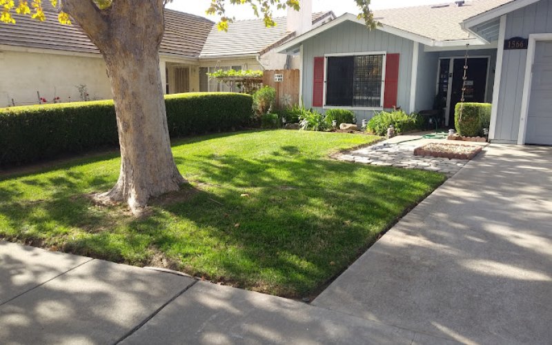 Silver Bear Landscaping