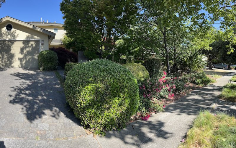 Gmg Landscaping & Gardening services