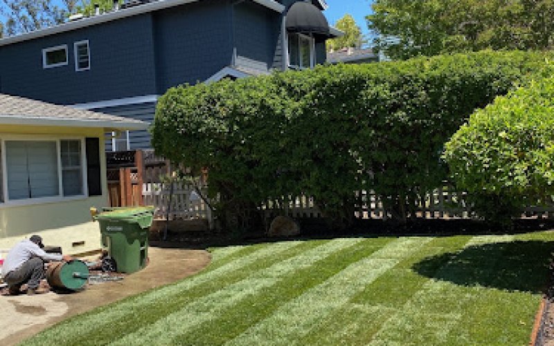 Quality Green Gardening and Landscaping