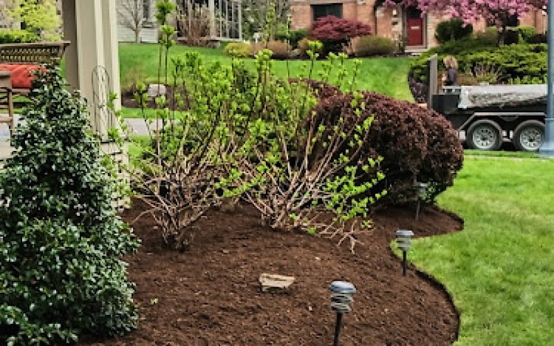 Hernandez Landscaping