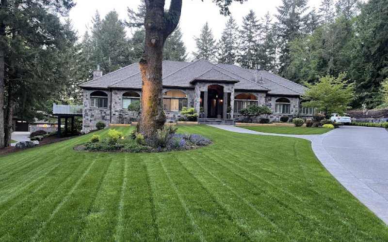 Javier Tree Services & Landscaping LLC