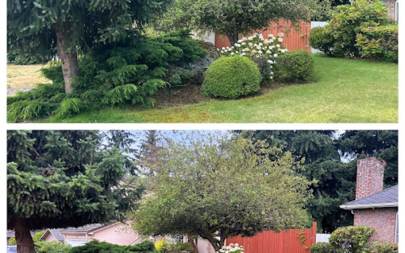 Royal Landscaping & Hauling