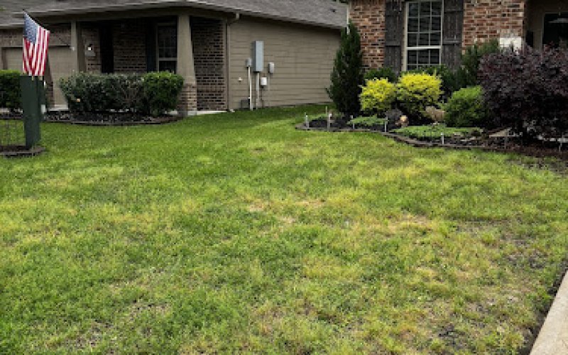 Heroes Lawn Care of The Woodlands
