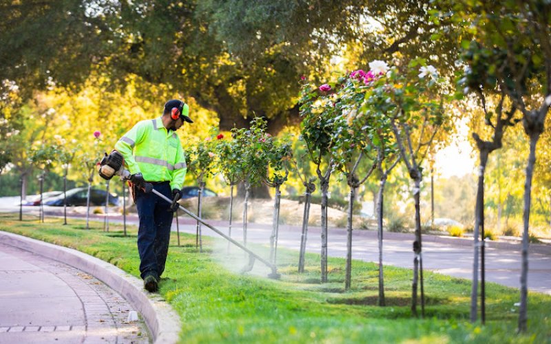 Enhanced Landscape Management