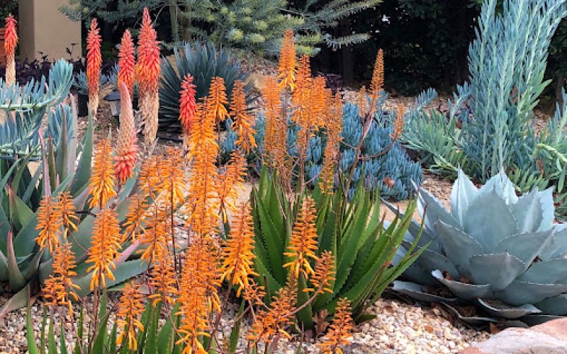 Taylor's Landscape Design