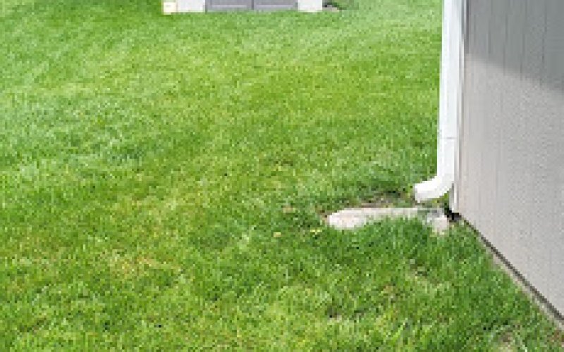TruGreen Lawn Care