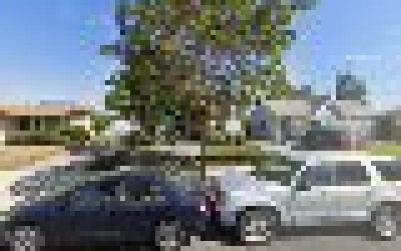 New Leaf Gardening & Landscape