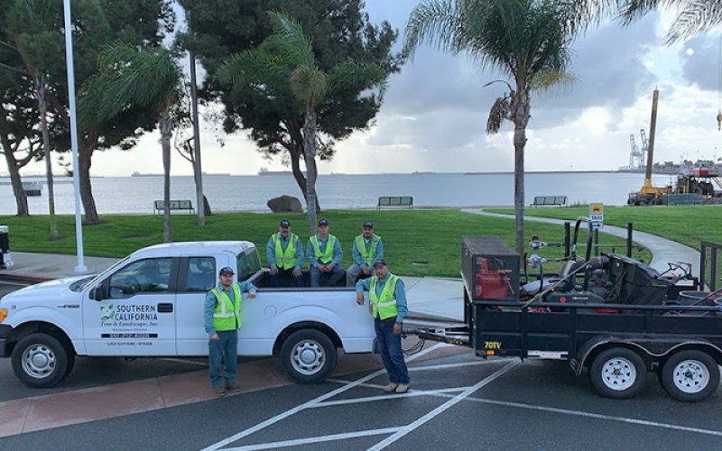 Southern California Tree and Landscape, Inc.
