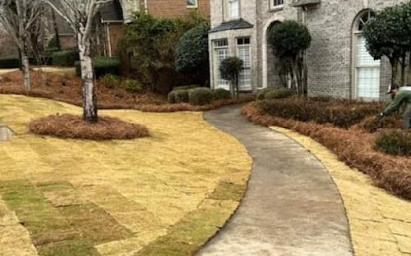 Landscaping & Garden Services
