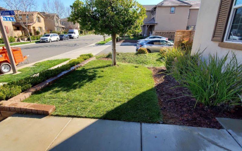 B&D Landscaping