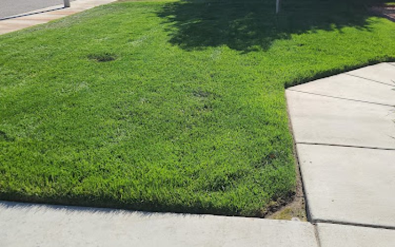 Fast edge lawn