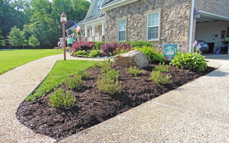Dr. Dan's Landscaping & Architectural Design