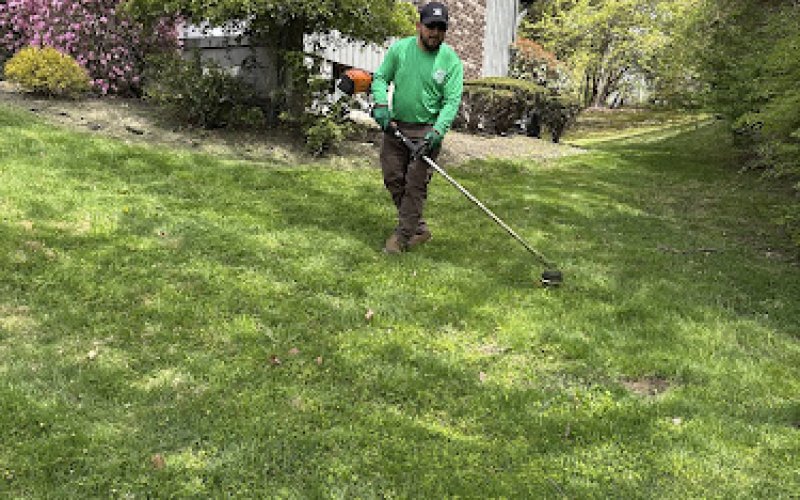 Green Landscaping LLC