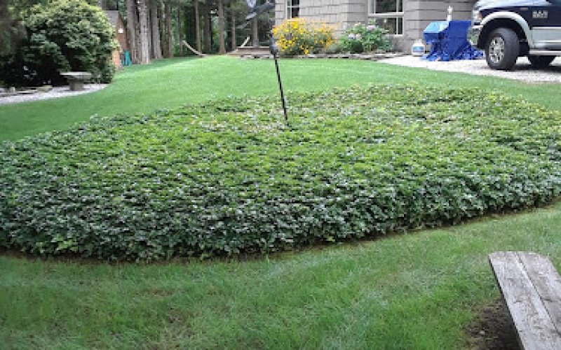 Rocko's Landscaping