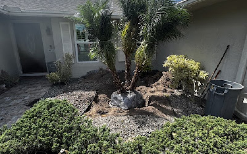Santiago Landscaping Inc