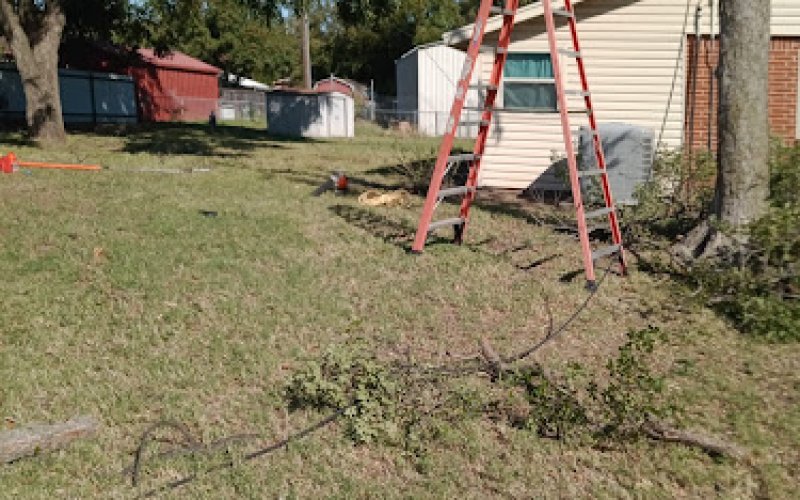 Affordable Landscaping & Lawn Service