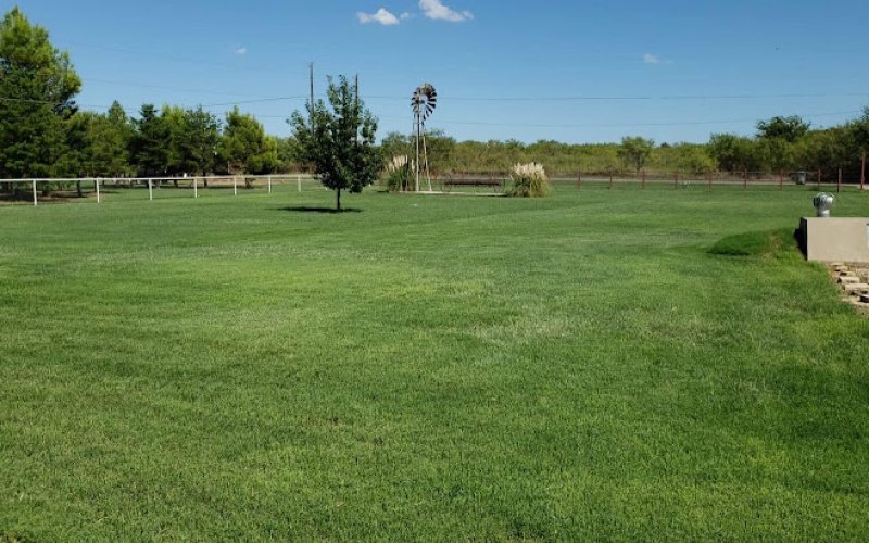 Evergreen Lawn
