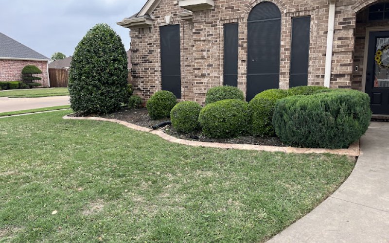 Pro Lawn & Landscape LLC