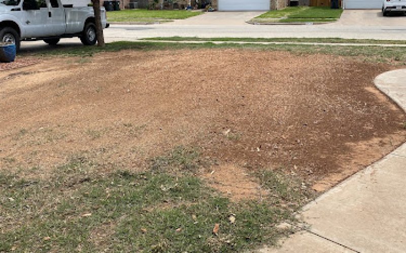 Voltage Tree & Lawn