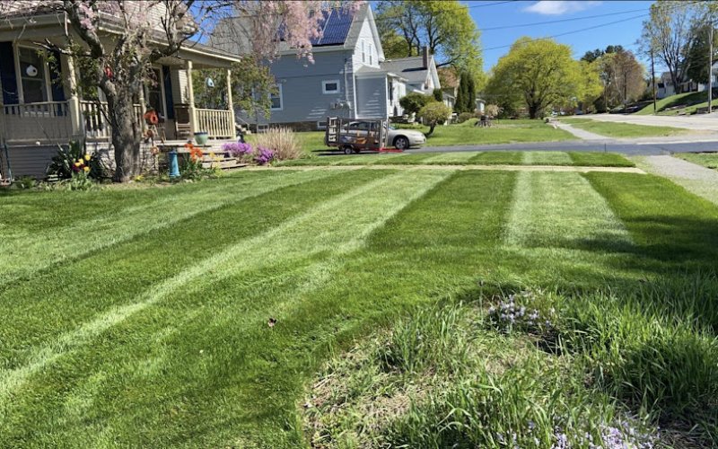 NJG Landscaping