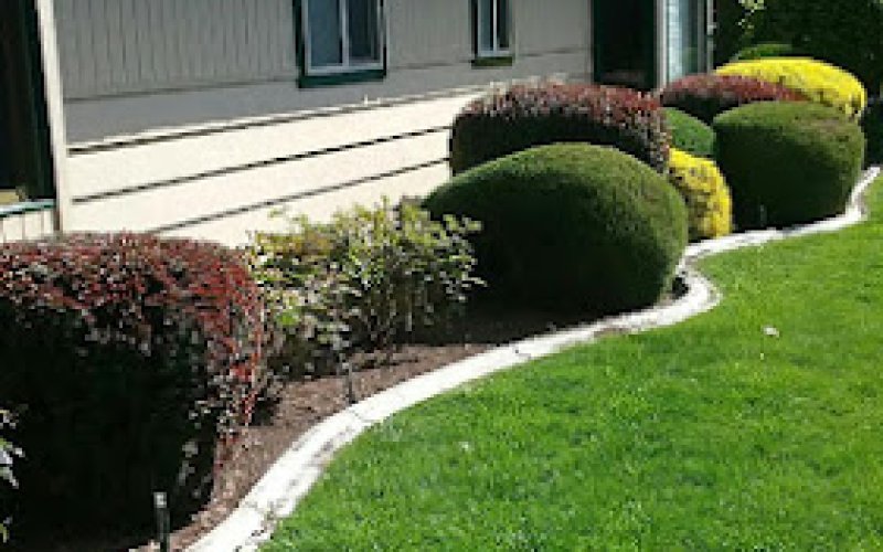 Abel’s and Sons Lawn Services llc