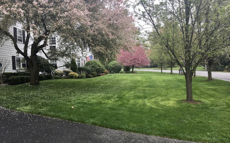 E Landscaping LLC