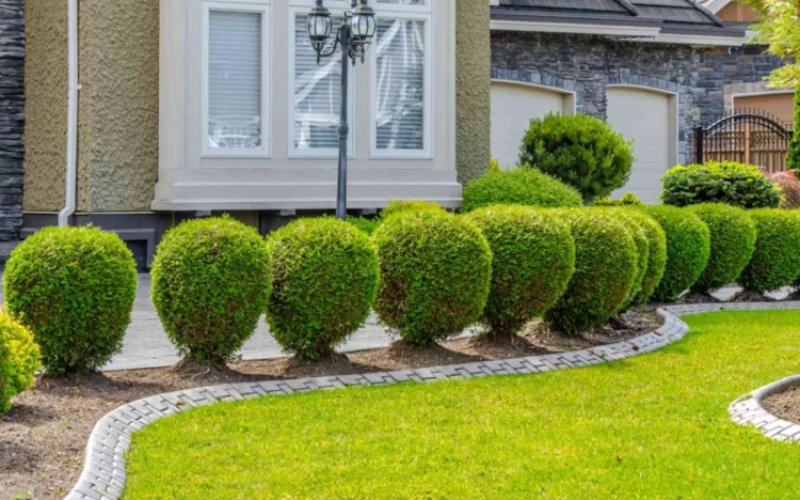 Gonzalez & Sons Landscaping Inc