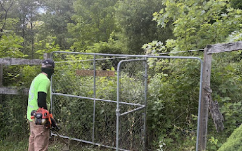 Green Edge Landscaping of Yonkers
