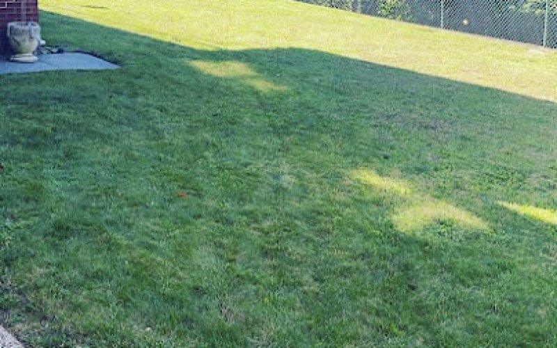 Tera Landscaping Corp.