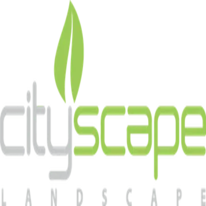 Cityscape Landscape